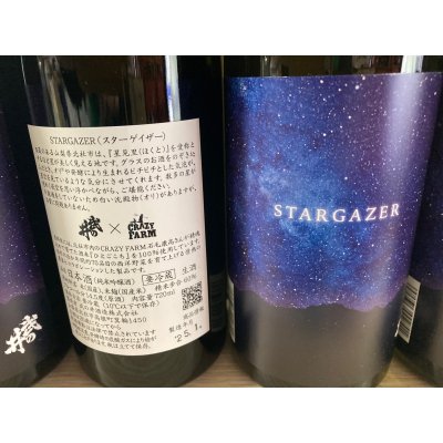 画像3: 武の井　STARGAZER（スターゲイザー）