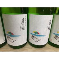 萩の鶴　純米吟醸別仕込　真夏の猫