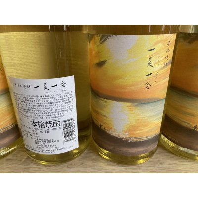 画像3: 天星　芋焼酎　一夏一会 2025バージョン