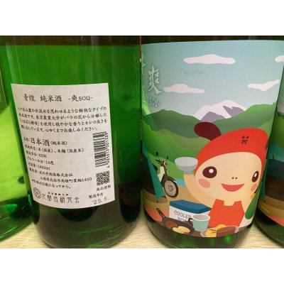 画像3: 青煌　純米酒〜爽〜