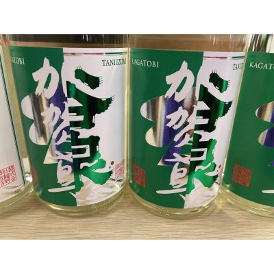 画像1: 谷泉×加賀鳶　純米