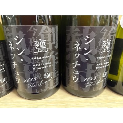画像3: シン・ネッチュウ　甕