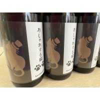 越の鷹　おしゃれする猫