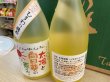 画像2: 純米焼酎　太陽と向日葵の恵み。25度 (2)