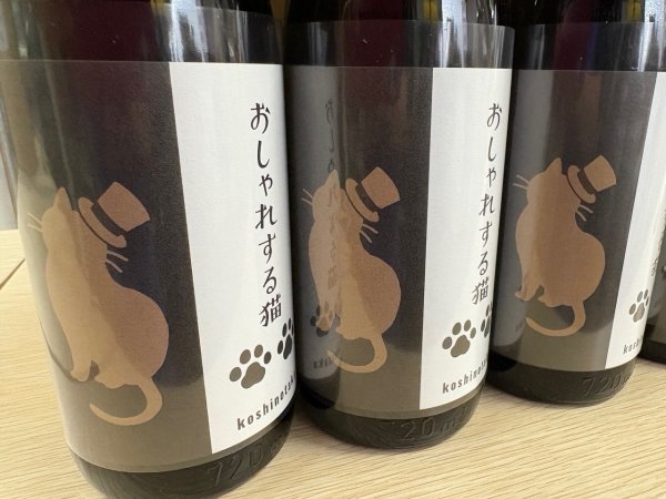 画像1: 越の鷹　おしゃれする猫 (1)