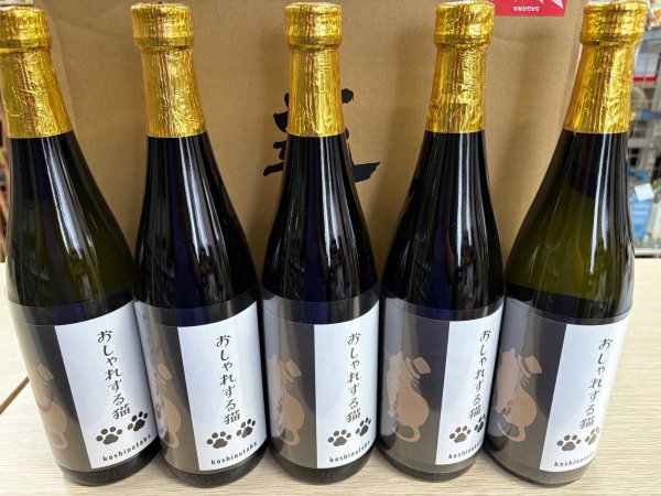 画像2: 越の鷹　おしゃれする猫 (2)